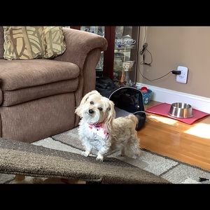 Meet your Posher, Anne